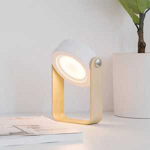 LED Lantern Lamp